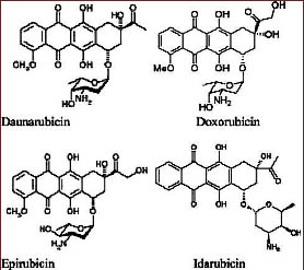 anthracyclines chemical structures